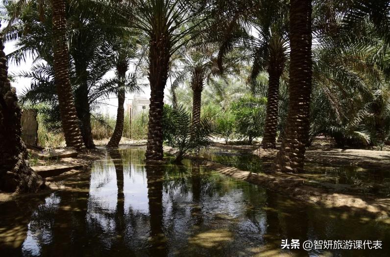 一起来看看真实的沙特阿拉伯,了解沙特阿拉伯