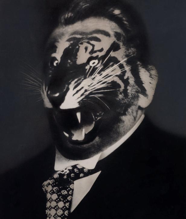 摄影小白必学之极简摄影,读懂摄影作品