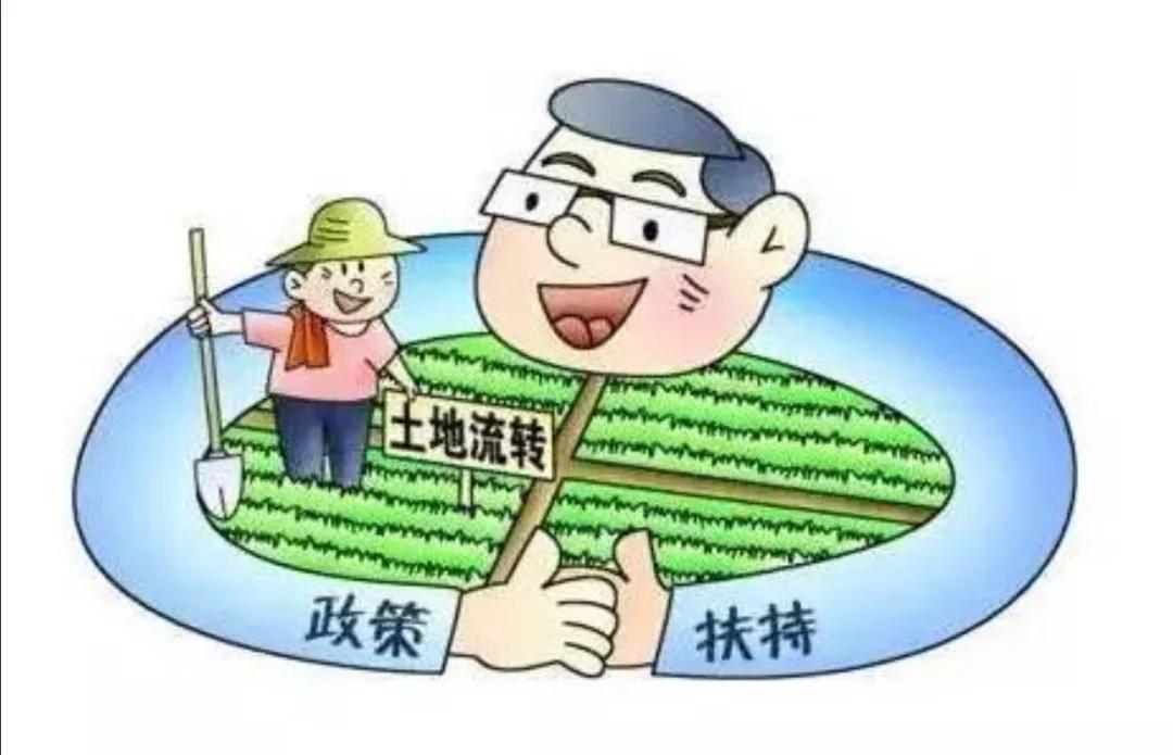 中药材种植基地如何打造,怎样申请中药材种植基地