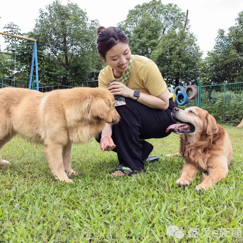 喜欢你混饭吃丨酷贝E族