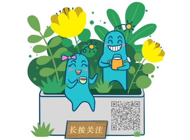 值得推荐的十个微信公众号,2021微信里必备的公众号