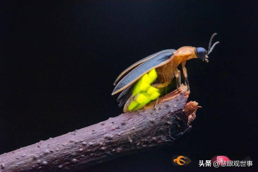 中高考必考古诗词,中高考必背古诗词朗诵