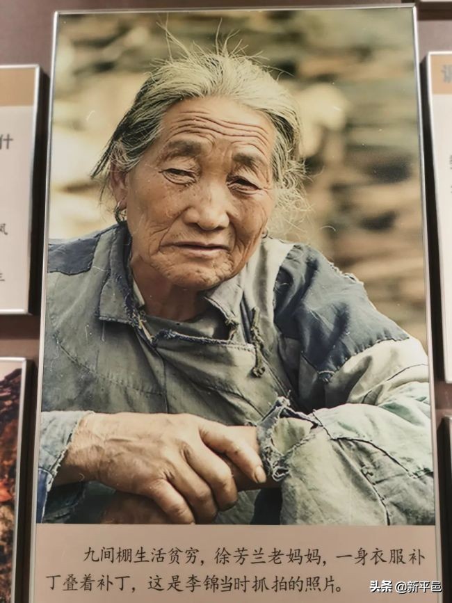 一个记者和小说家视频,一个记者采访一个农民的故事