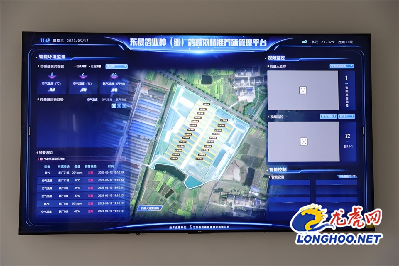 小鸽子创业,小鸽子大产业