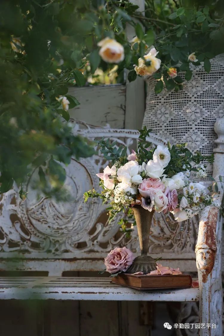 第八届园丁奖露台组《030号》洛基花园