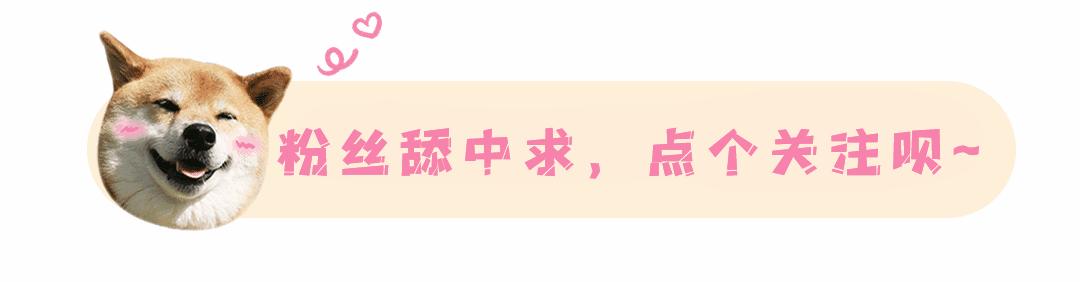 夏日阳光里的秘密,天石防晒衣测评