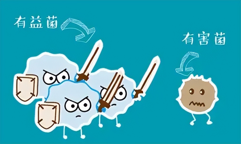 益生菌有副作用吗可以长期服用吗,益生菌有用吗肠胃不舒服