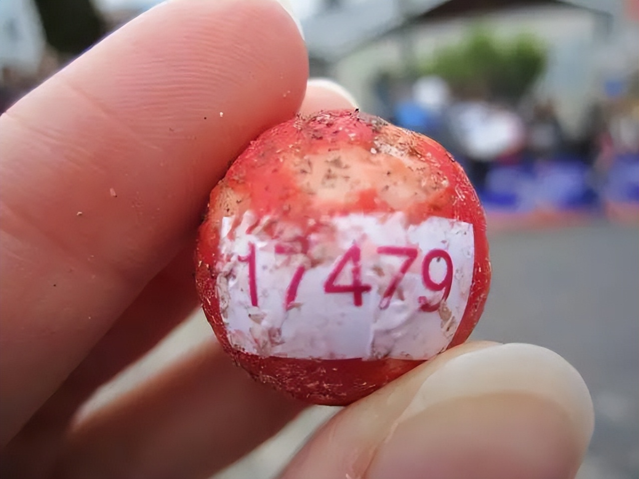 新西兰吉百利巧克力工厂,新西兰吉百利巧克力