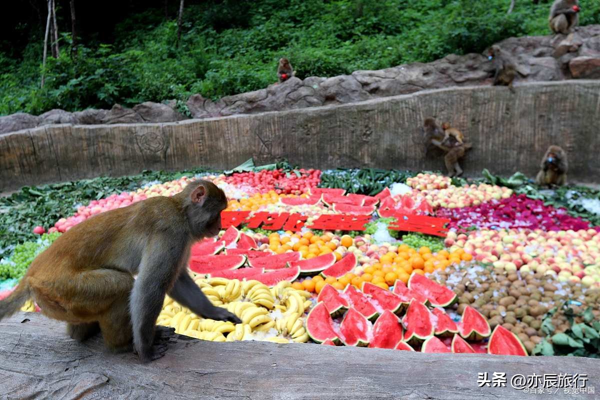 海南冬天旅游十大必去景点,海南旅游最佳景点推荐自驾游
