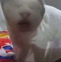 笔记本可更换cpu到几代,笔记本自己可以换cpu加独显吗