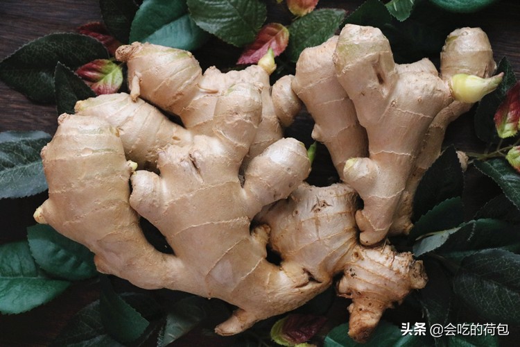 蔬菜储存方法大全，带你学会13种蔬菜的贮存技巧，一个月不用出门