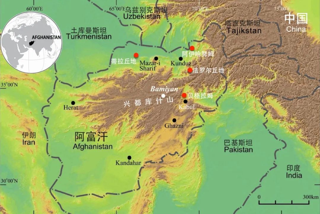 闃垮瘜姹椾汉涓轰粈涔堥兘鏄粦澶村彂,涓栫晫涓婇粍鐨偆榛戝ご鍙戠殑鍥藉