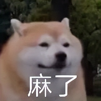 得了知乎训练营的优秀学员，开心！