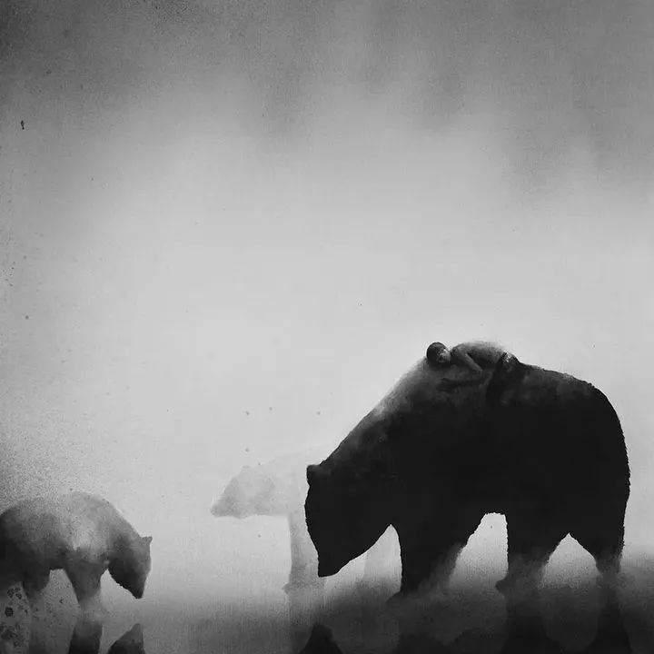 东方美学的中国画神韵,东方水墨画