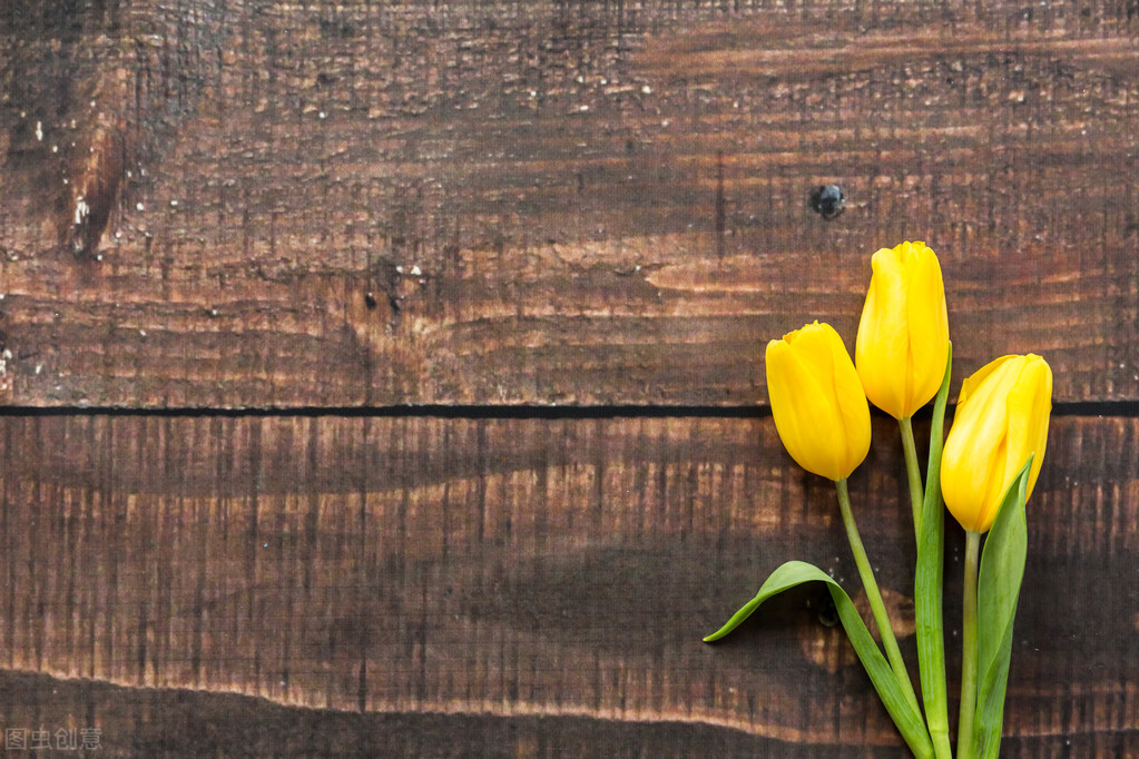 静夜思古诗诗意是什么,静夜思古诗诗意及注释