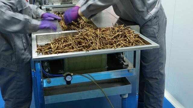 中国进口俄罗斯中药材,俄罗斯出口中国农产品