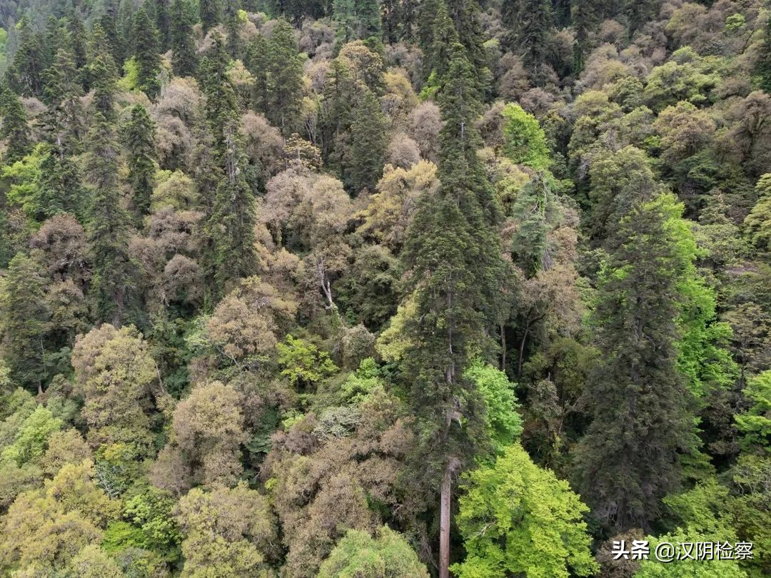 西安今天公交的新消息,陕西西安公交调整路线最新消息
