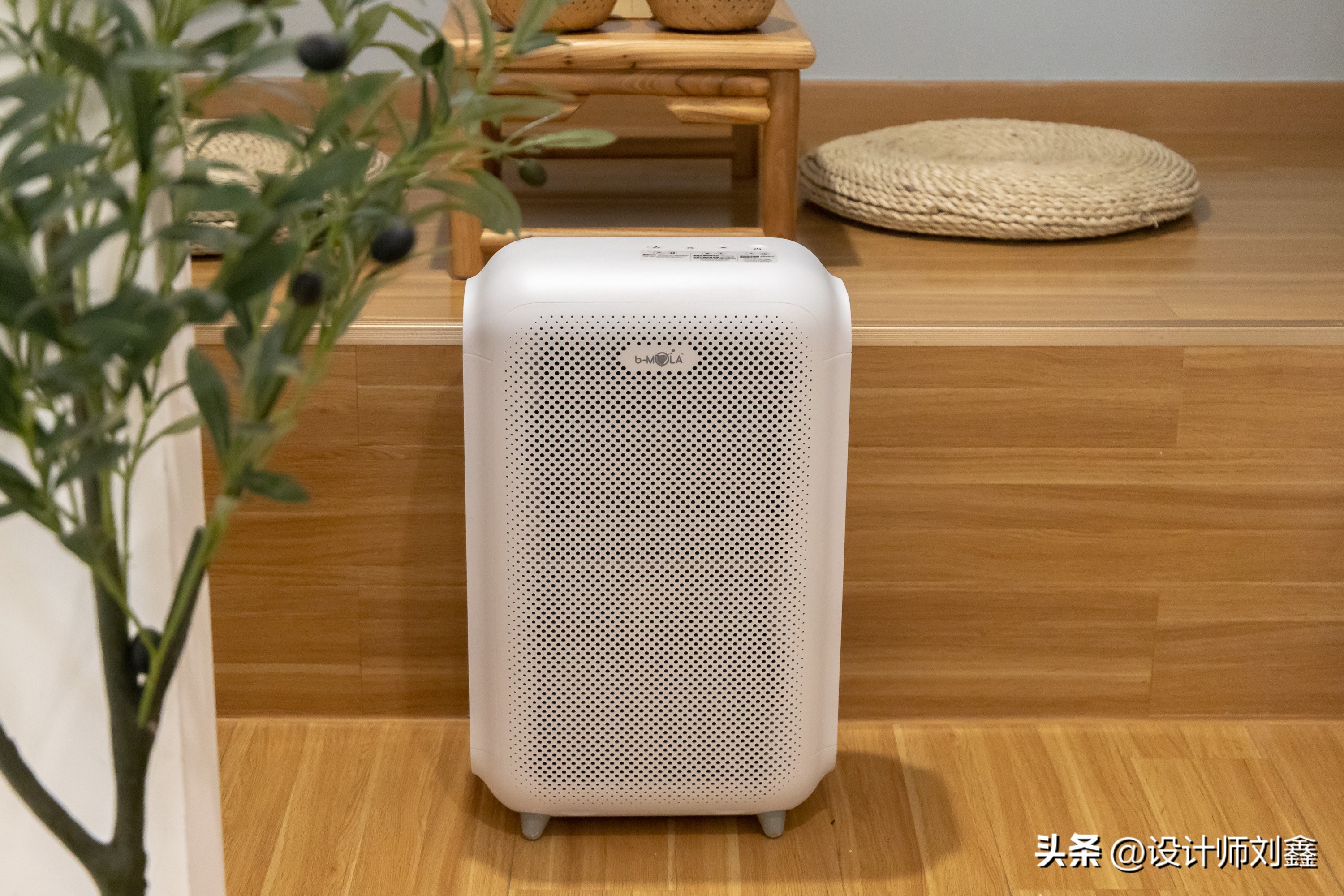 轻松住新家掌握这些除醛小妙招,新房除醛最好最快的方法