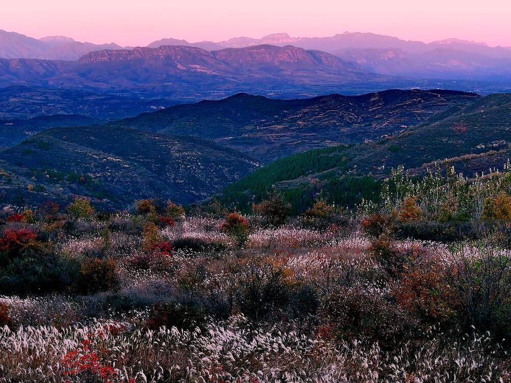 山西旅游攻略最全最佳线路五台山,山西五台山一日旅游景点推荐表