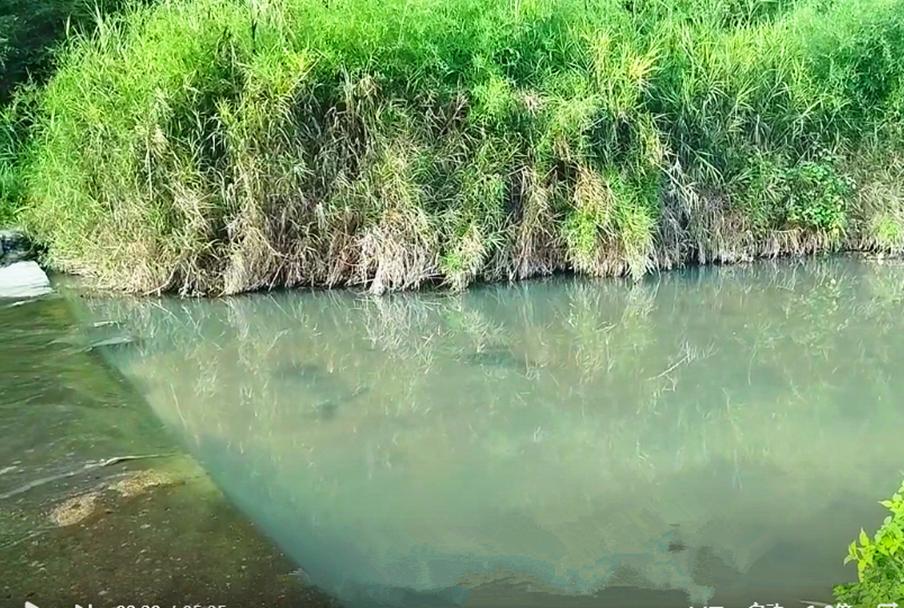 外地老板投资100万建拦河坝每年可赚80万，为何关闭？