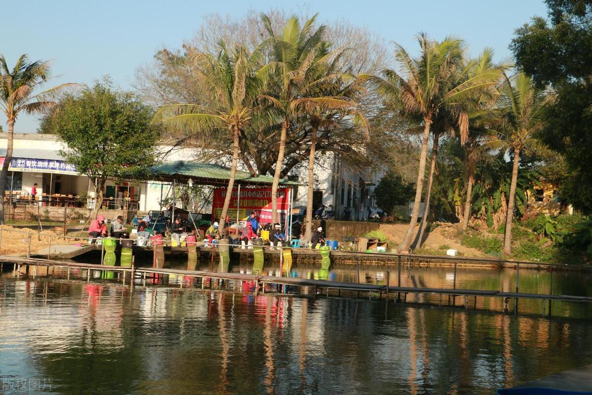 珠海自驾游十大免费景点推荐,珠海横琴网红十大景点免费