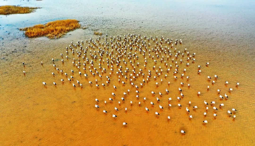 冬季山东十大美景,旅游山东最值得去的地方冬季