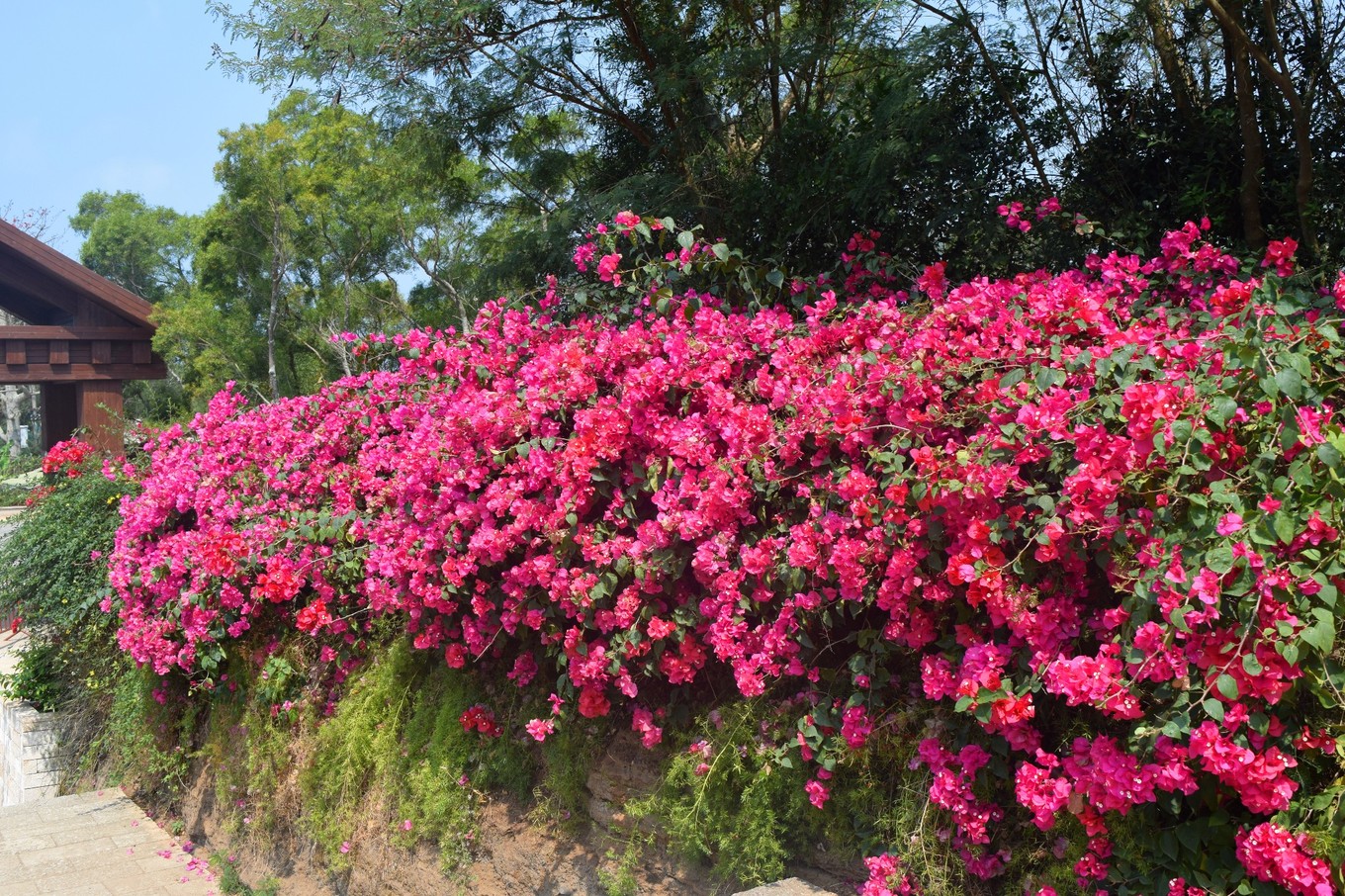 地图迷穷游中国之北海,穷游北海怎么玩
