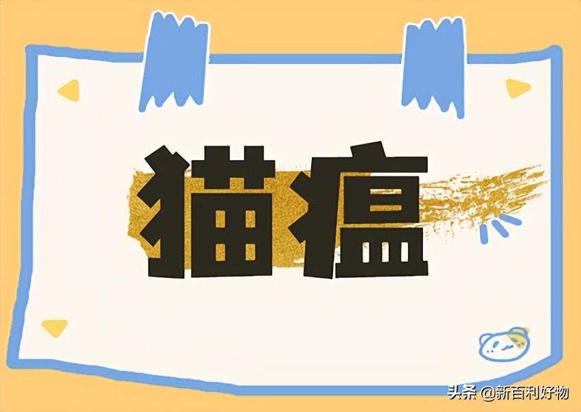 如何知道猫猫得了猫瘟,小奶猫得猫瘟多久度过危险期