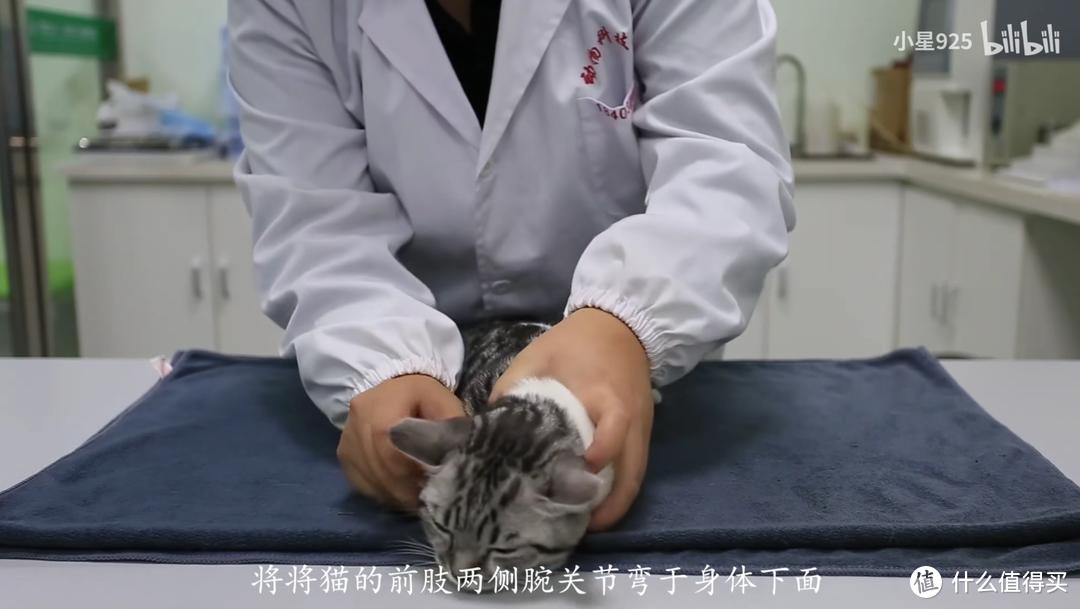 猫咪病了怎么喂药,薛定谔的猫咪教程