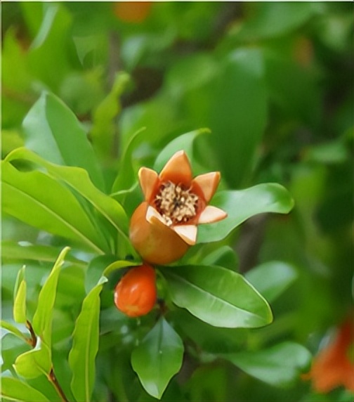 悄悄告诉你，来交大希望学院不能错过这站！