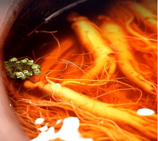 金戈双参露酒,金戈双参露酒是真是假