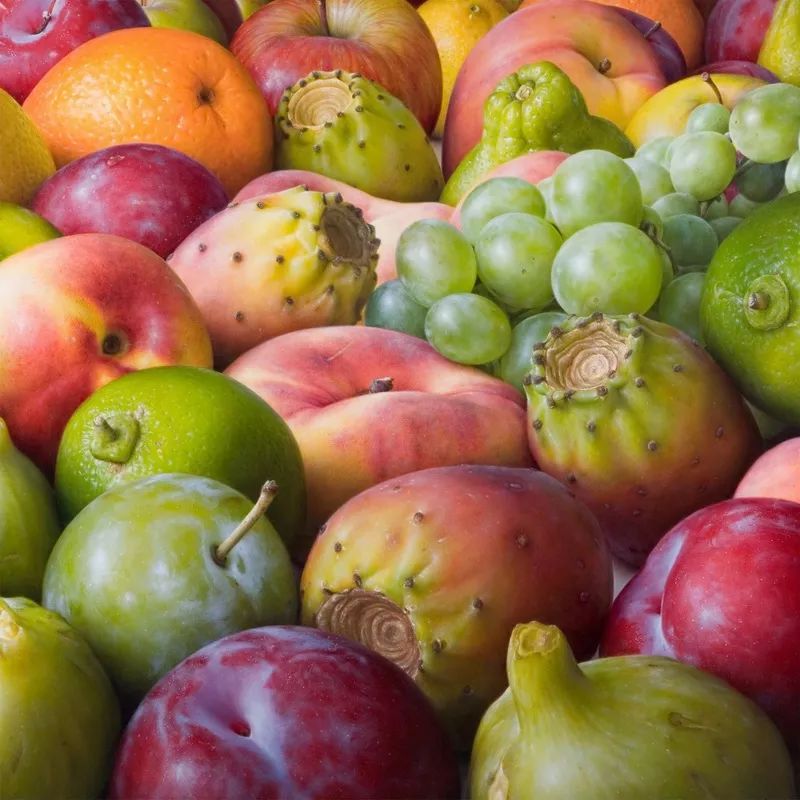 内蒙古校尉,宋代宫廷油画作品欣赏