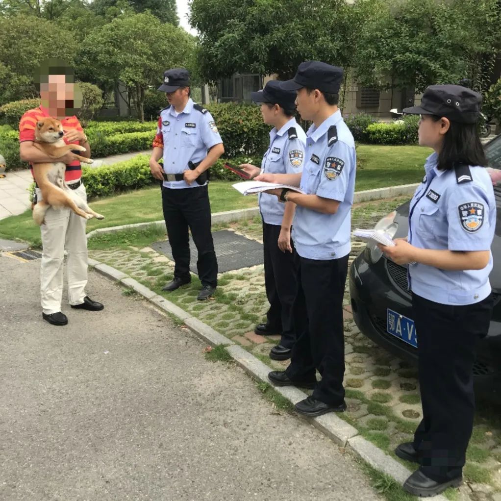 文明城市因不文明养犬被处罚,抚顺整治不文明养犬