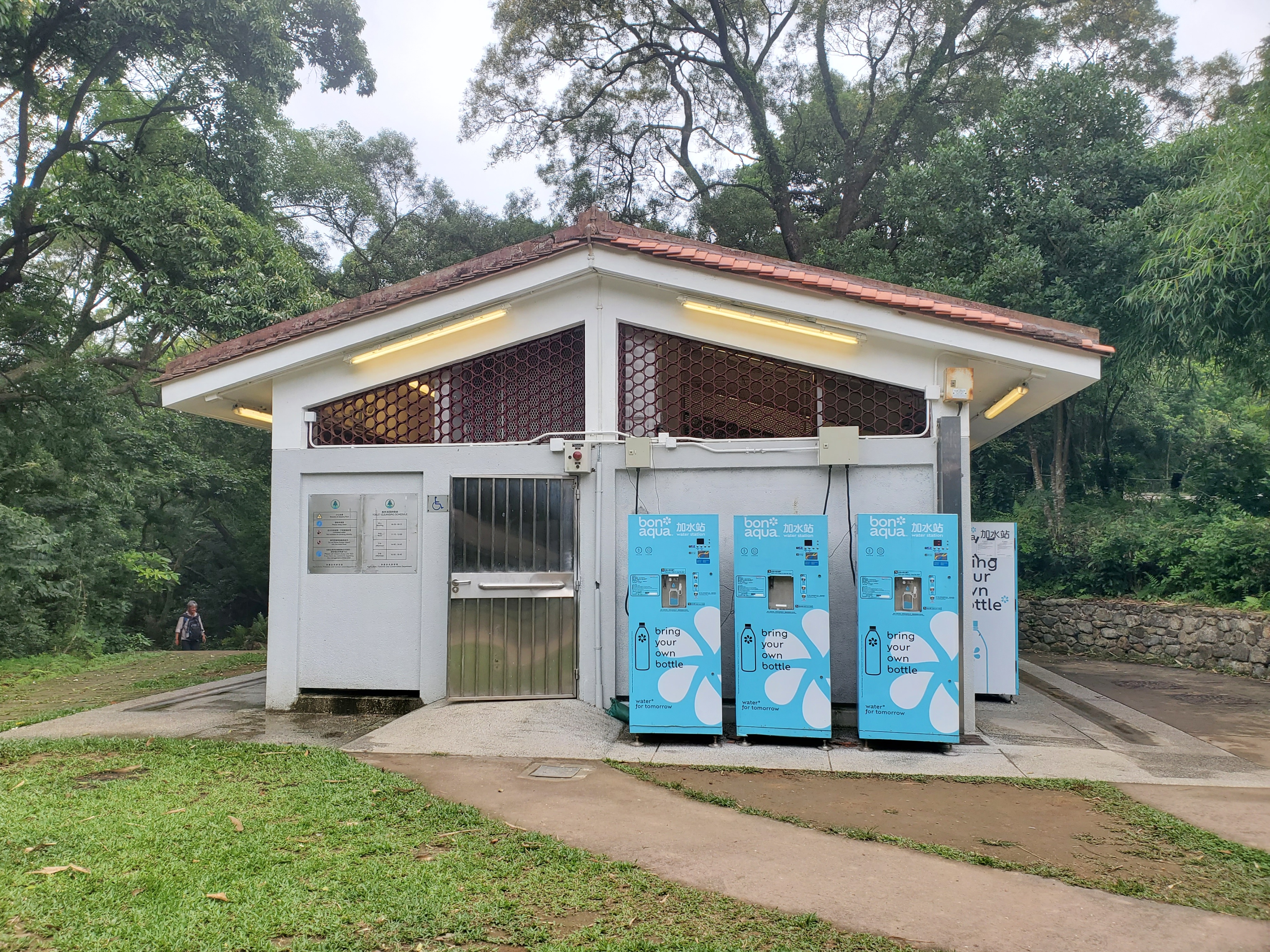 徒步香港大帽山,香港麦径徒步攻略
