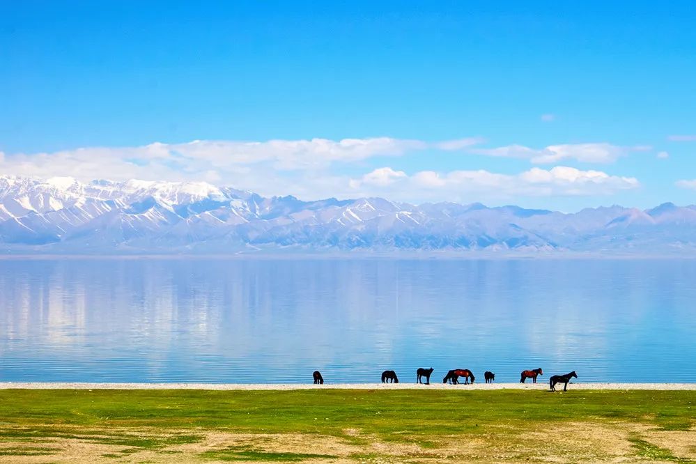 最美公路独库通车仪式,官宣独库公路2021年开通时间