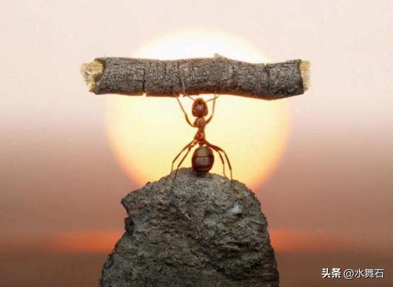 辞职创业干点什么好一点,创业如何选择副业