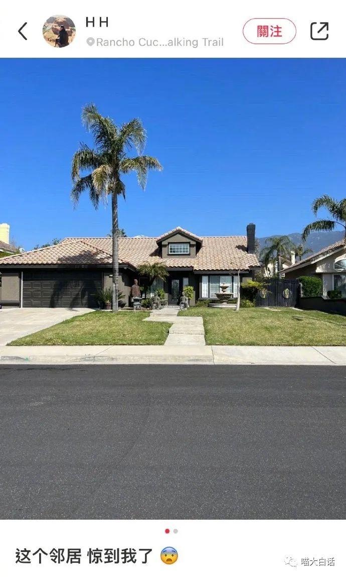 “写网文发现忠实粉丝竟是闺蜜?”哈哈哈哈哈感天动地姐妹情!