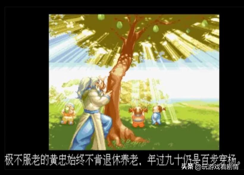 三国归一统，汉室终复兴——《三国战纪》