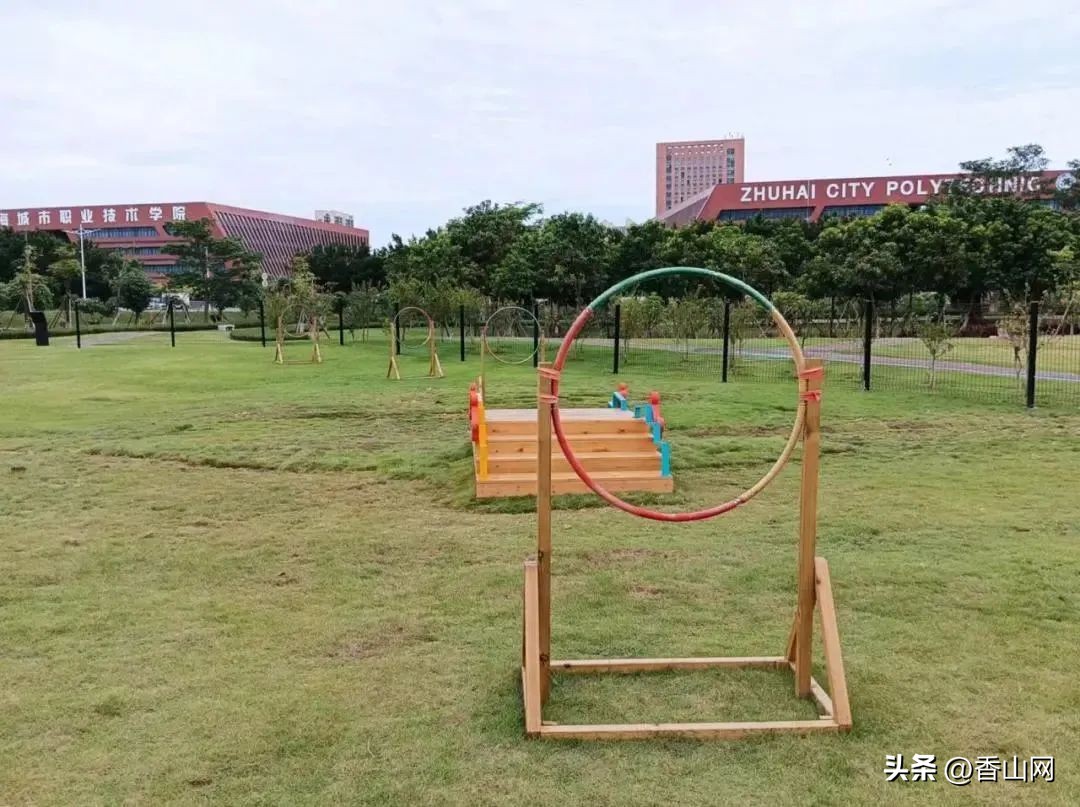 珠海唐家遛狗好去处,周末遛狗好去处乌鲁木齐