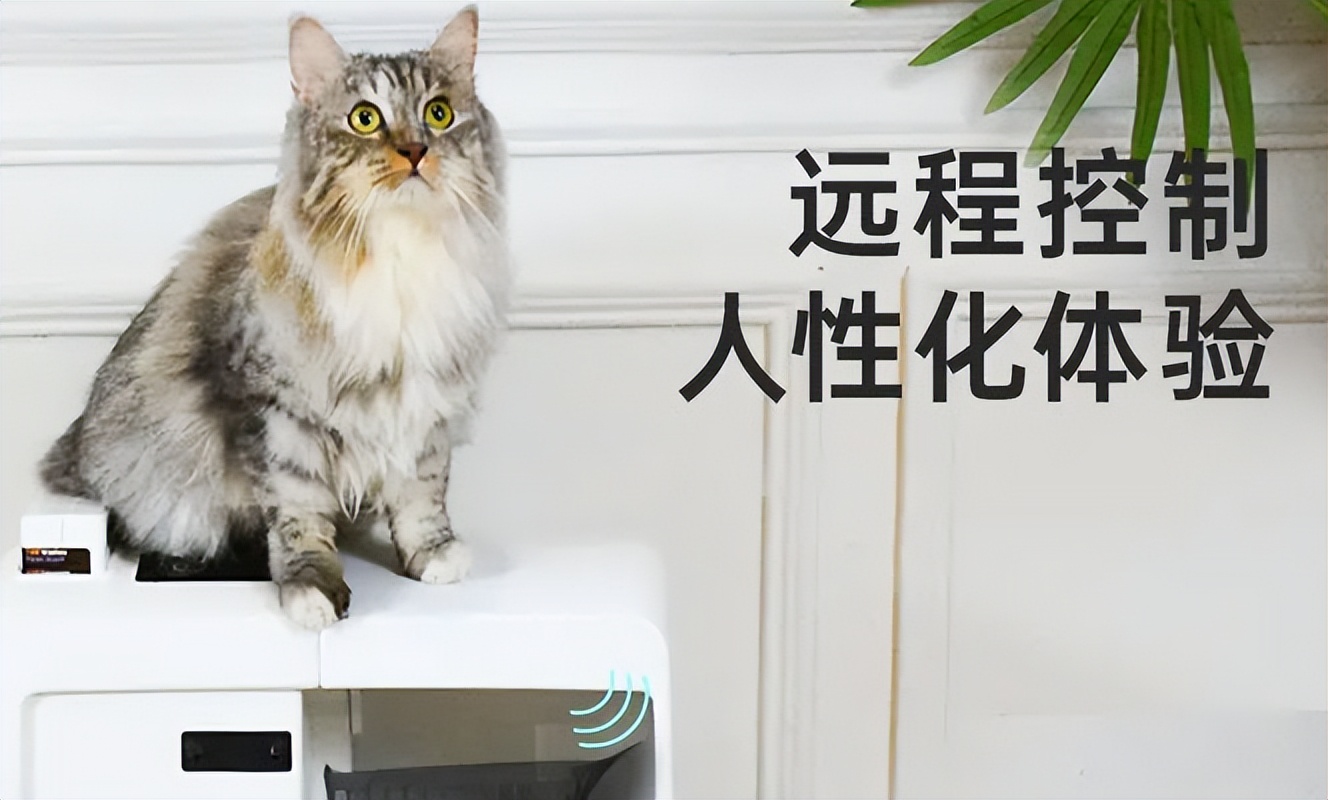 猫砂盆app开发,猫砂铲屎神器