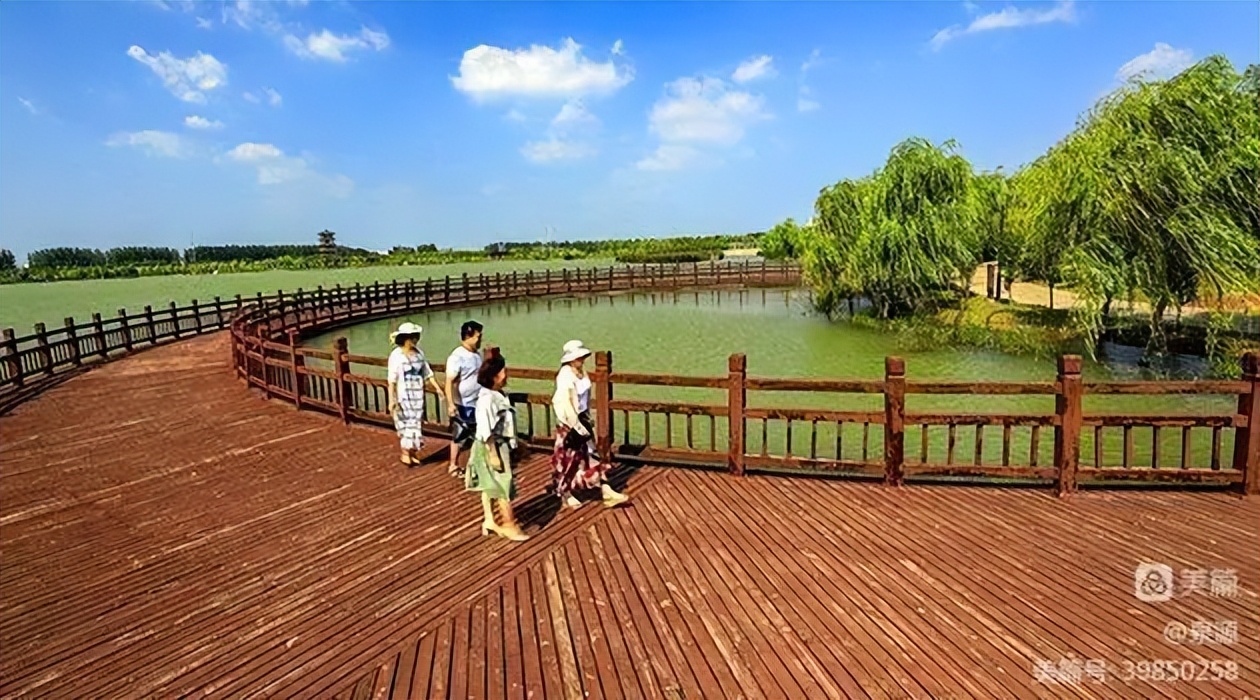 临颍县千亩湖视频,漯河临颍县千亩湖