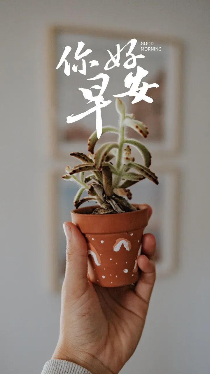 早安语录正能量朋友圈关于梦想,有梦想励志早安语句带图片