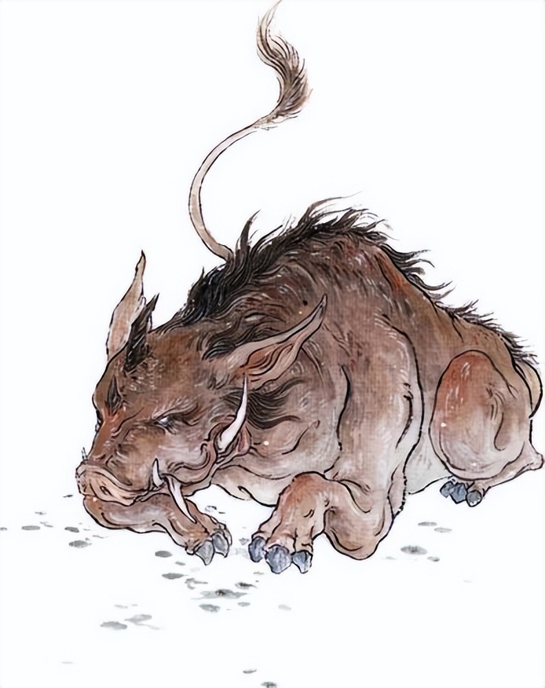 妖怪名单500集,妖怪名单第51集完整版