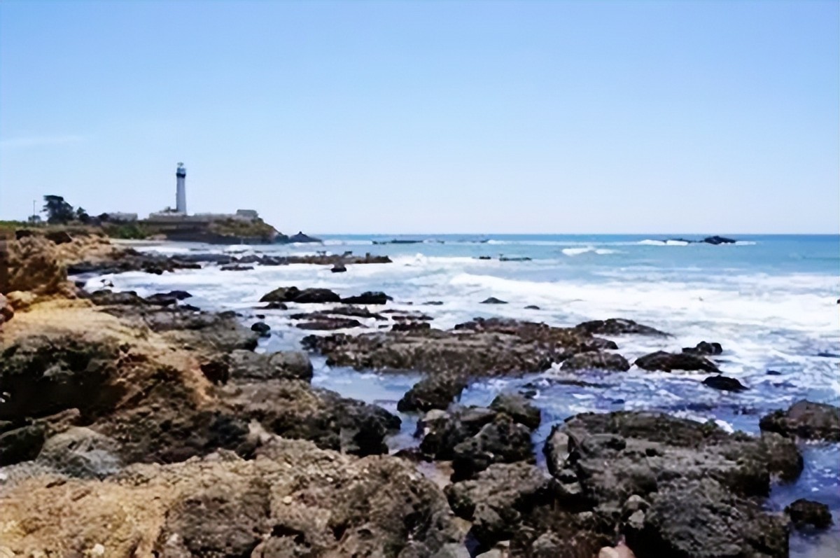 15岁白血病女孩的悲情心愿,4岁白血病女孩临死前说的话