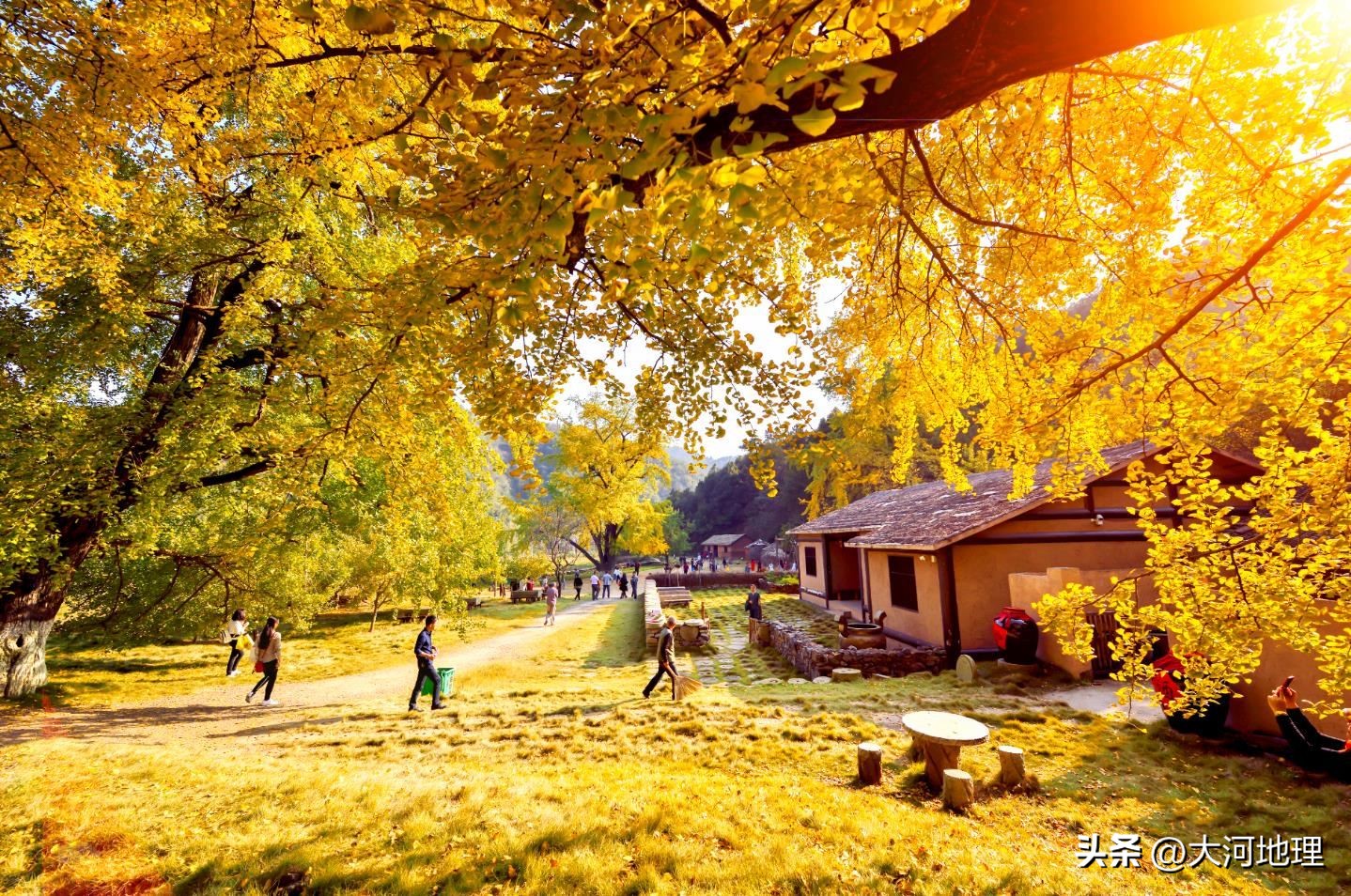 旅游攻略国内十大必去景点南方,中国南方著名景点