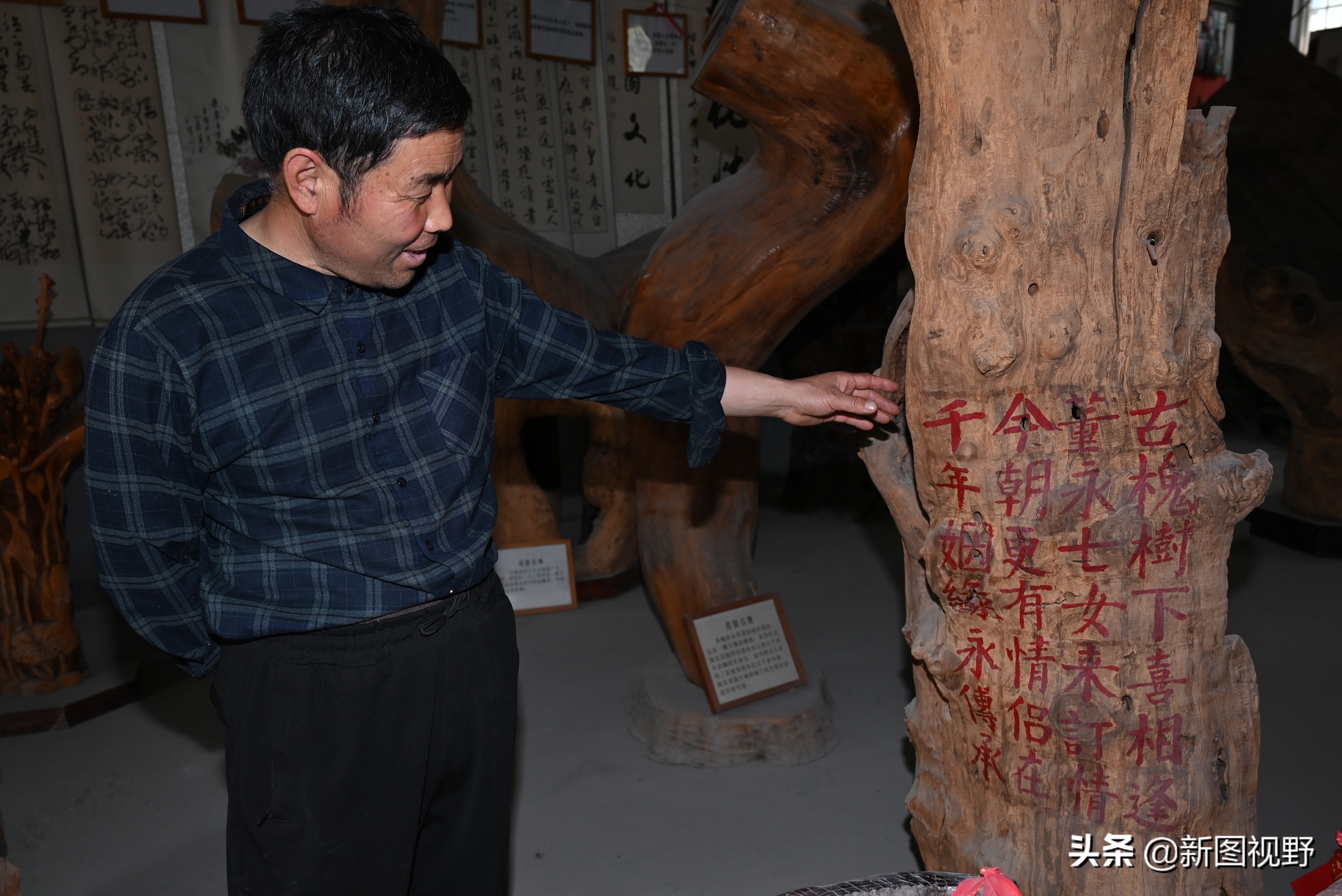 54岁农村大哥，把枯木当宝贝，13年来只收不卖，看他做啥生意