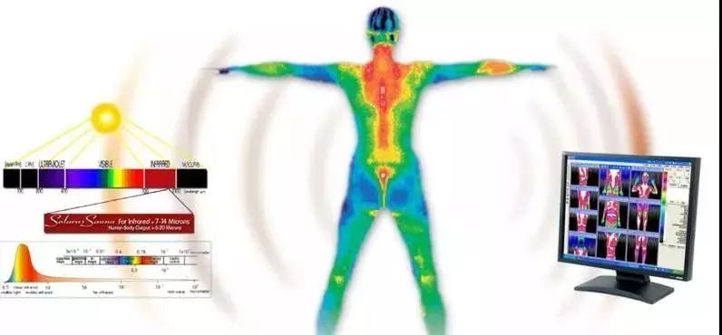 庭院防鼠防虫,如何防治高层老鼠方法