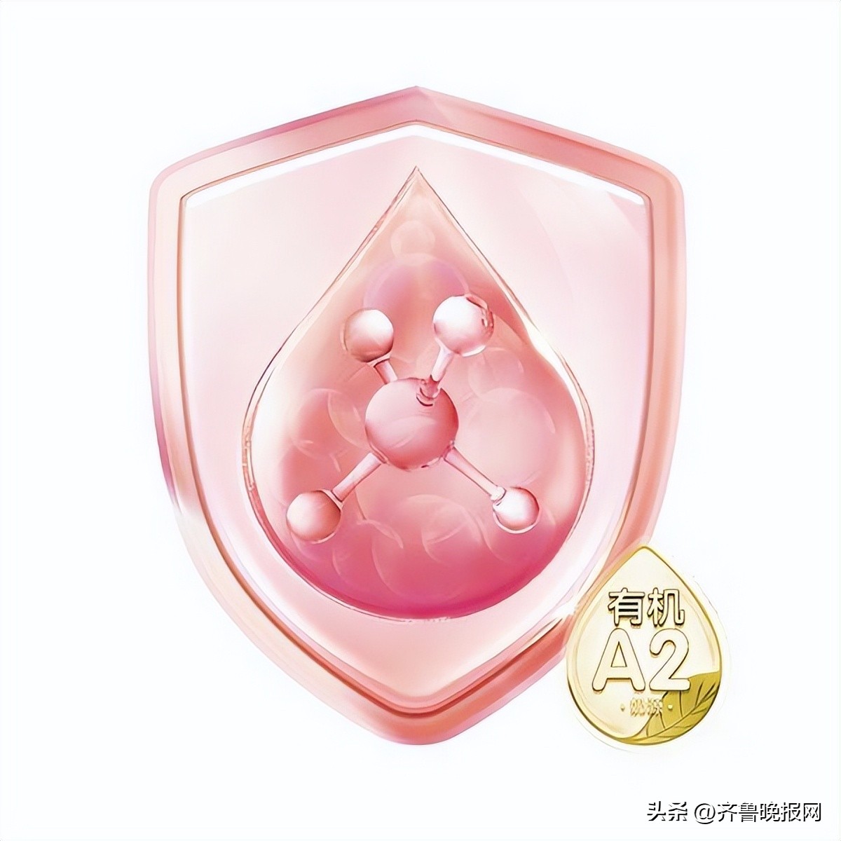 贝因美爱加有机a2奶粉是新国标吗,贝因美内蒙古奶粉排名前十大品牌