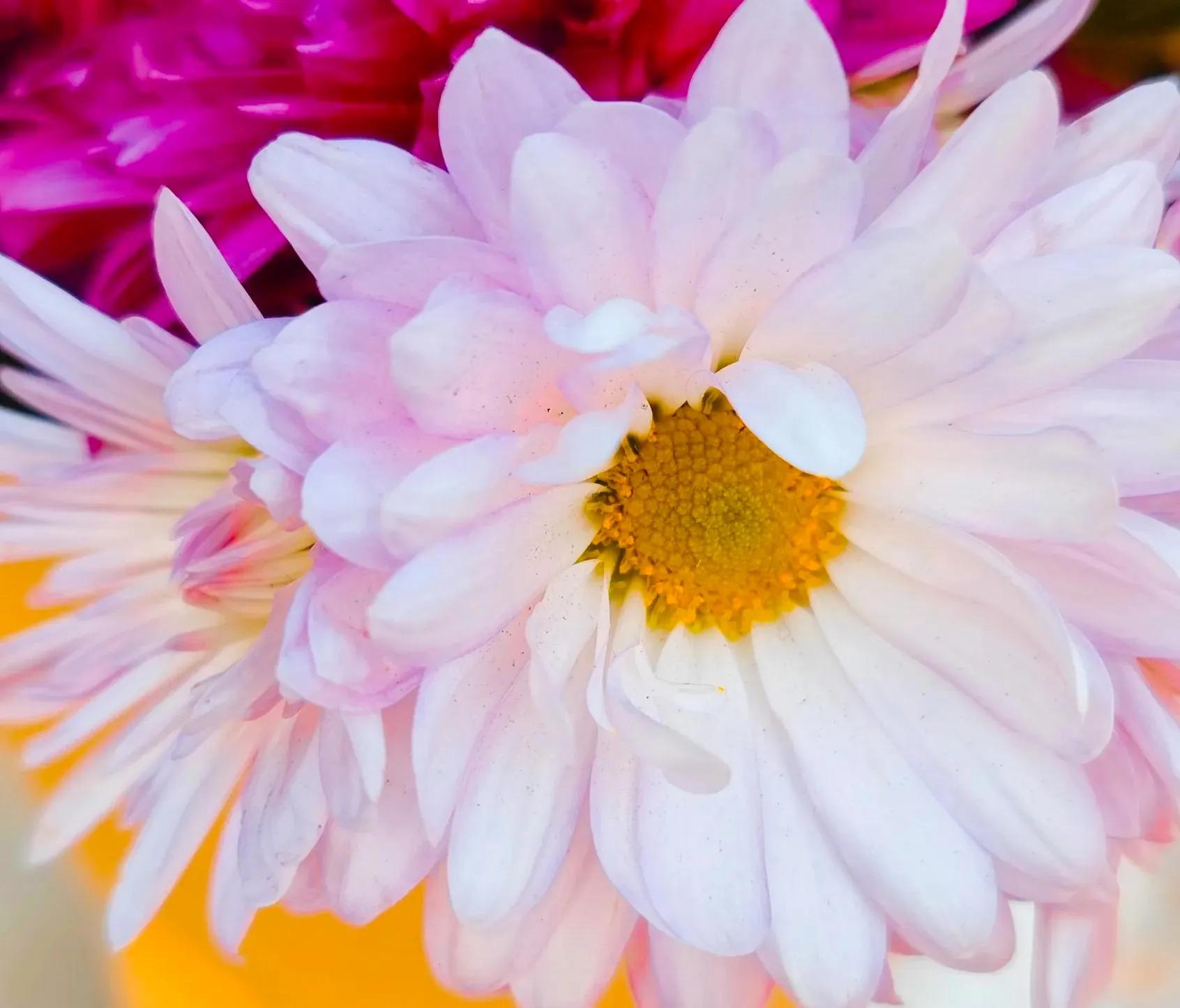 朗诵散文守望麦田,散文守望麦田