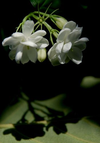 散文内心深处的孤独,散文放松心灵的美好时光